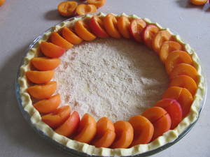 tarte abricot